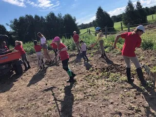 Campers doing morning barn chores