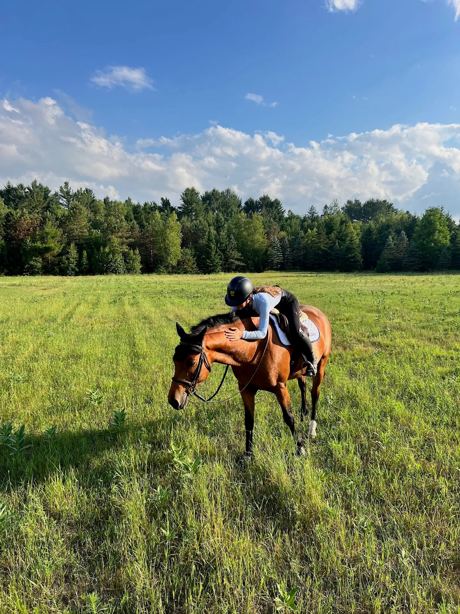 A young athlete hugging her horse in a sunlit field