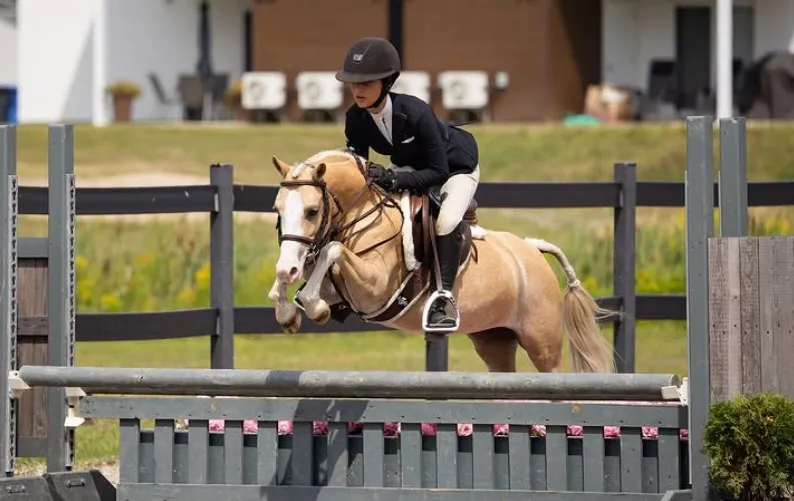 Rider clearing a jump on a palomino pony at a horse show