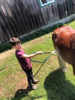 Camper bathing a pony