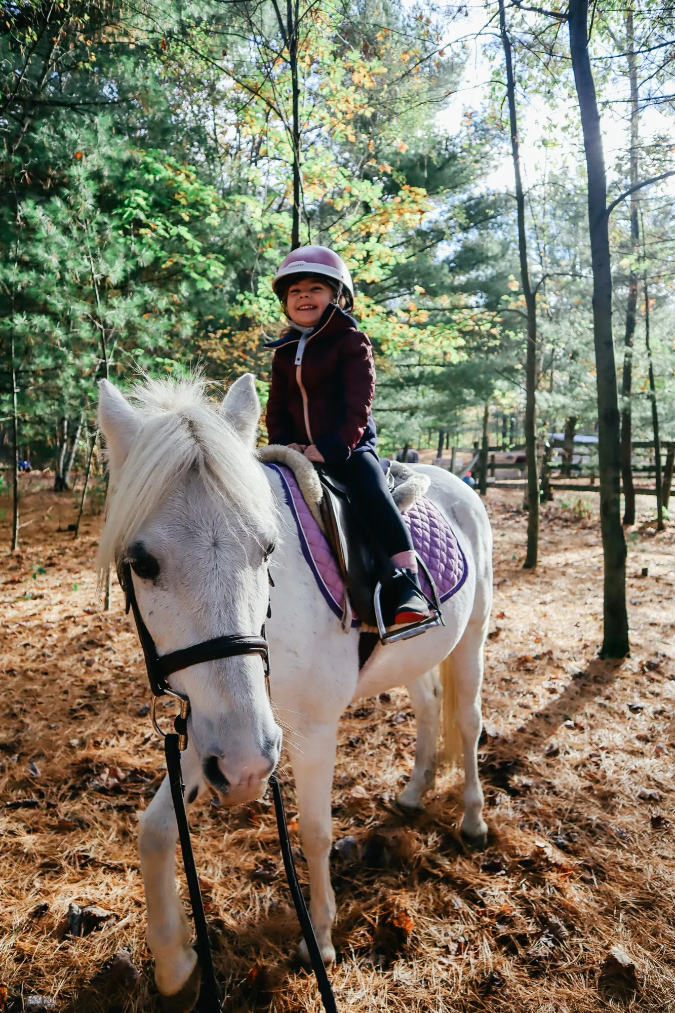 Young rider on a grey pony in the forest
