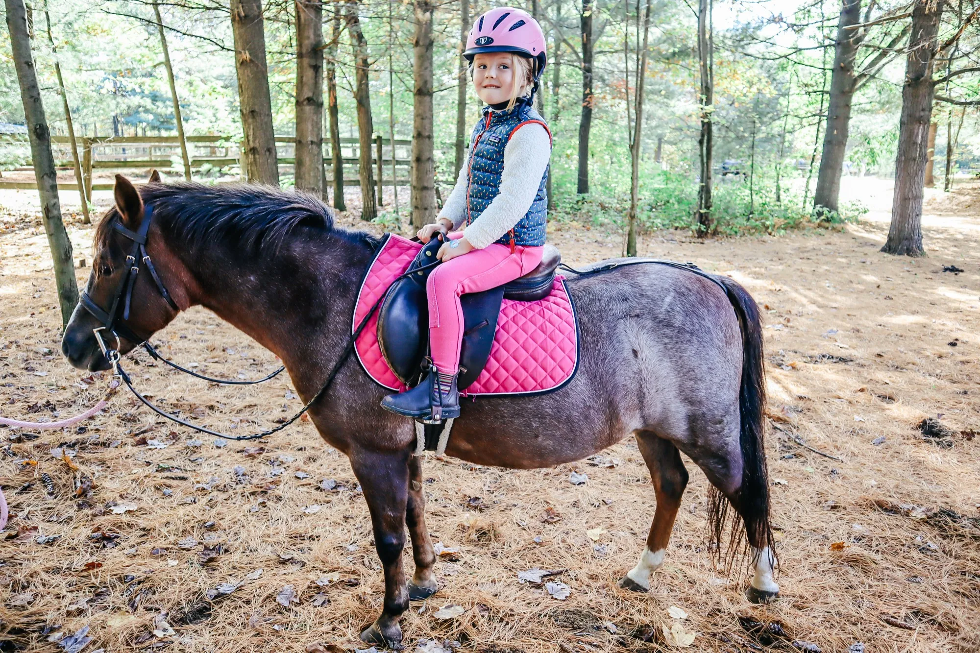 Young rider on a pony in the forest