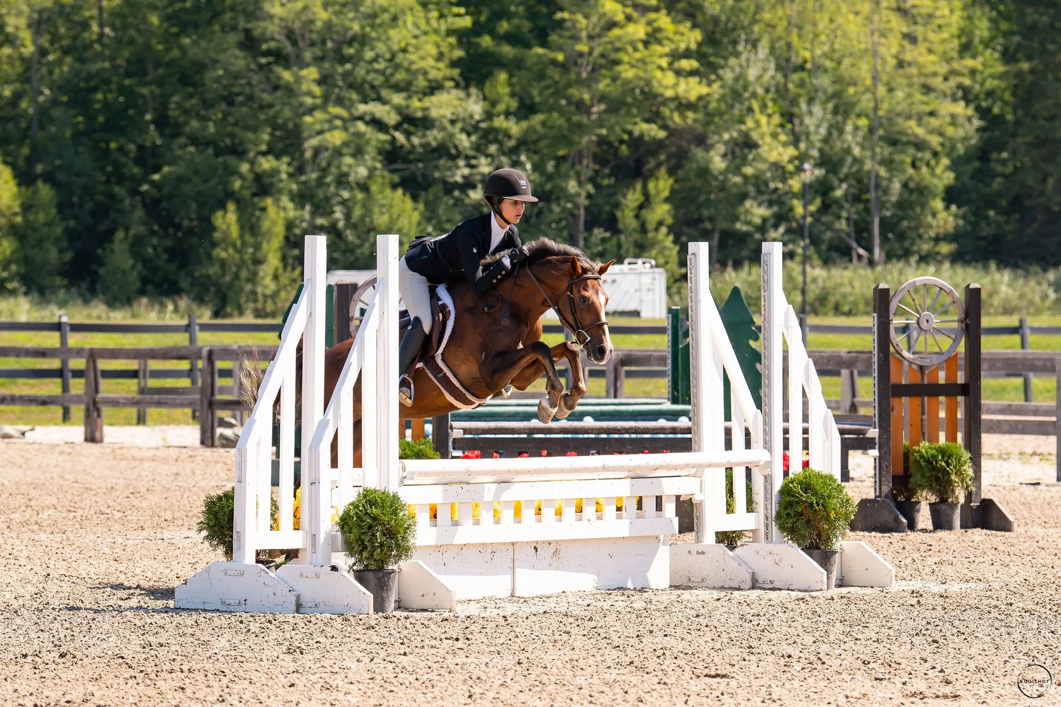 A young athlete and chestnut pony clear a fence in the outdoor ring